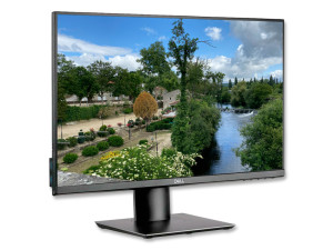 Dell P2319H 23'' IPS 16:9